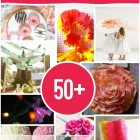 Over 50 Crepe Paper Crafts to Make