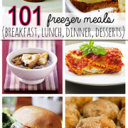 101 Tasty Freezer Meals Plus Great Tips