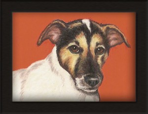 Colored Pencil Dog Portrait