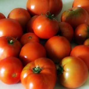 Tomato recipe