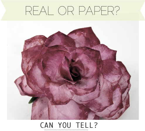 Make A Variety Of Gorgeous Paper Roses