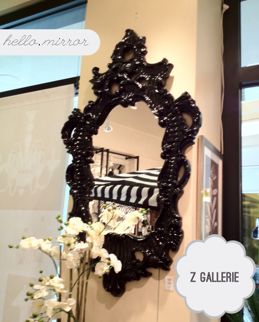 Z Gallerie Mirror