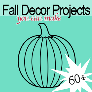 60+ DIY Fall Decorating Projects from savedbylovecreations.com