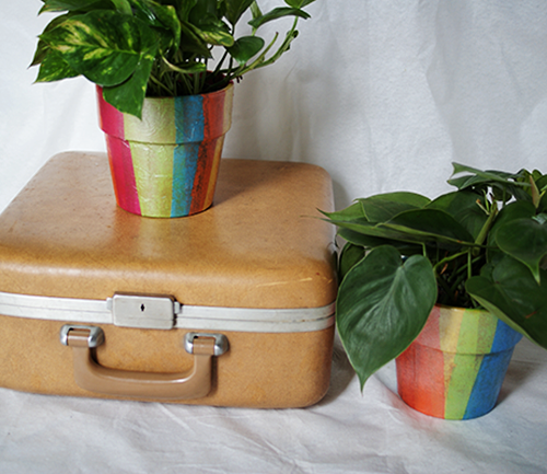 Make rainbow decoupaged planters easy DIY Mod Podge @savedbyloves