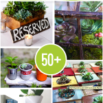 Over 50 Terrarium Succulent and Creative Planter Projects to make @savedbyloves