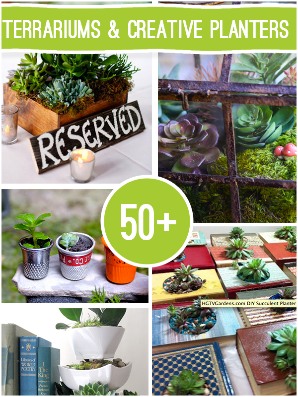 Over 50 Terrarium Succulent and Creative Planter Projects to make @savedbyloves