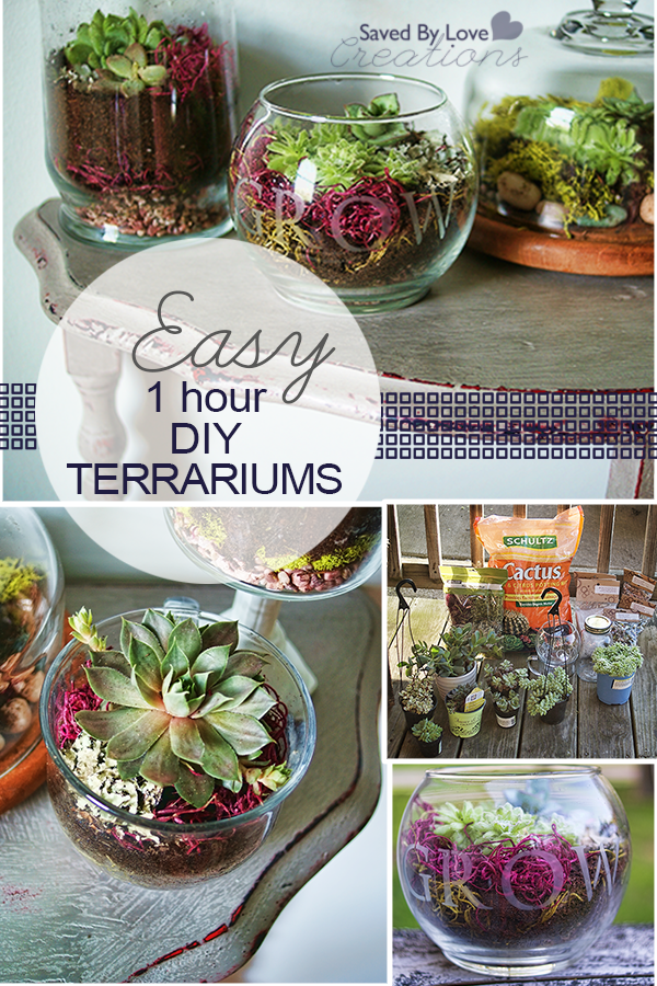 Easy DIY Terrariums