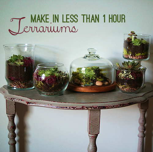How to Make a terrarium, DIY @savedbyloves