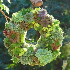 How to make a living succulent wreath via Garden Therapy, featured @savedbyloves
