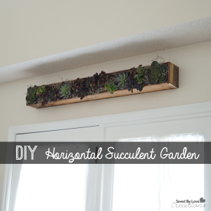DIY Horizontal Succulent Garden @savedbyloves