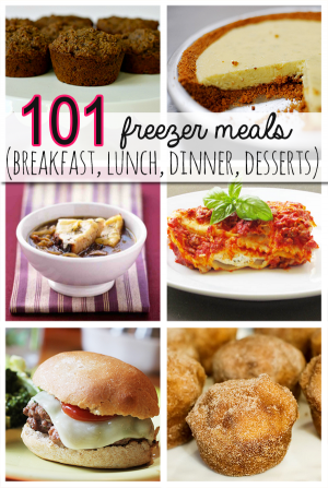 101 Tasty Freezer Meals Plus Great Tips