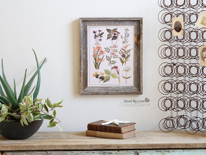 Free Botanical Printable