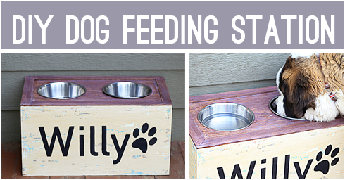 How to Make a Dog Feeding Station FB