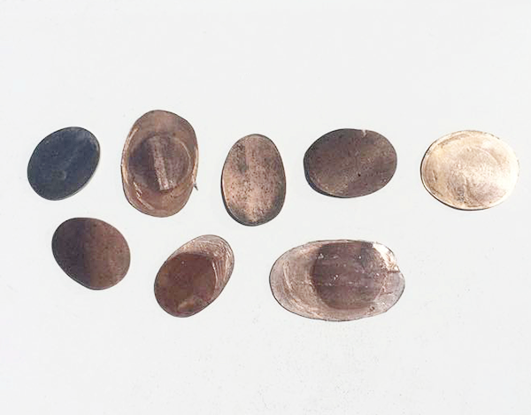 how-to-flatten-pennies-for-free